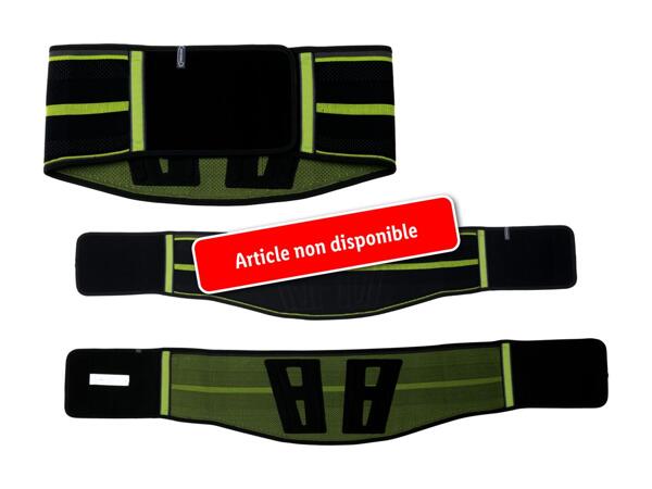 Ceinture dorsale