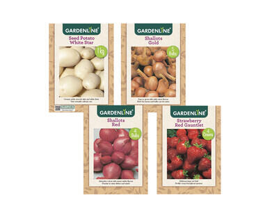 Packet Bulbs