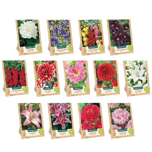 GARDEN LINE(R) 				Bloembollen