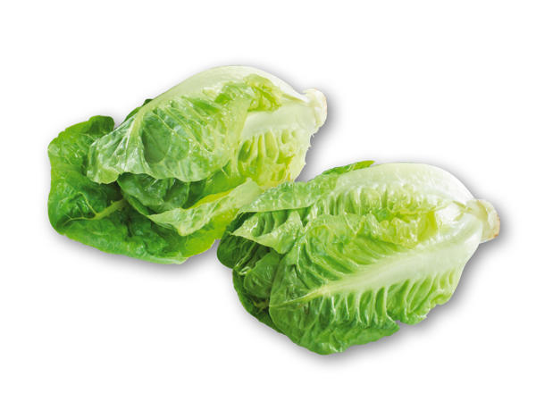 Økologisk hjertesalat