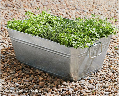 Mini Garden in a Tub