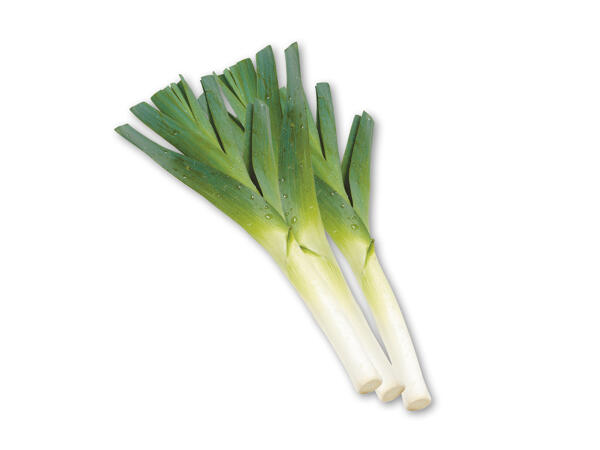 Danske porrer
