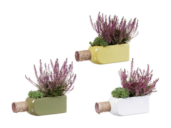Assortiment automnal dans des bouteilles