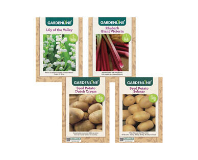 Packet Bulbs
