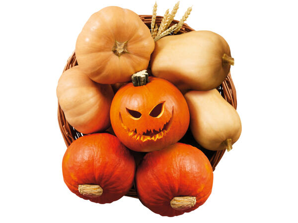 Halloween-Kürbis zum Schnitzen