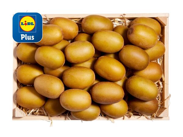 Kiwi Gold