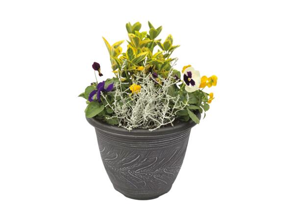 Large Autumn Planter
