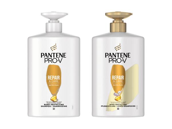 Repair & Care Shampoo oder Pflegespülung