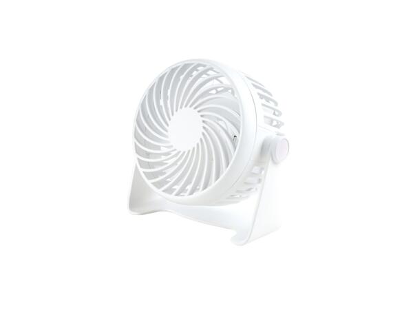 Portable Fan