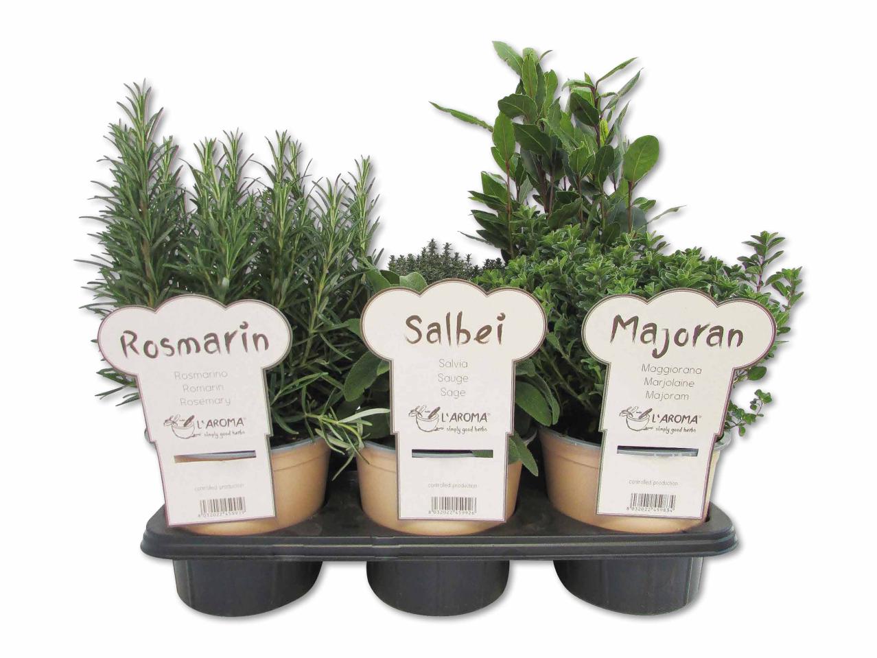 Fines herbes