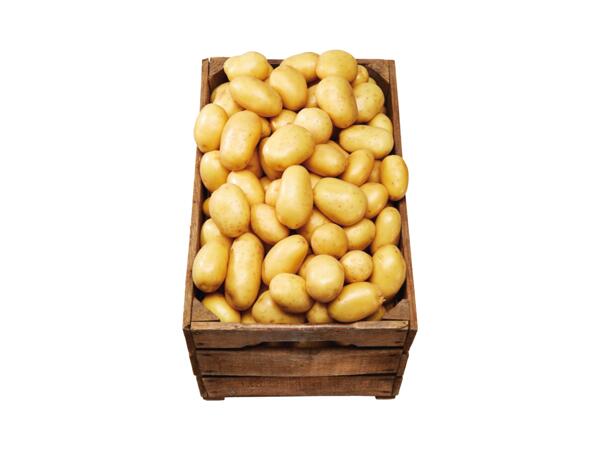 Potatis