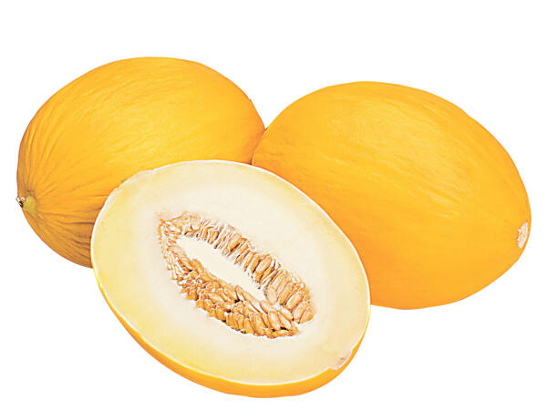 Honigmelone