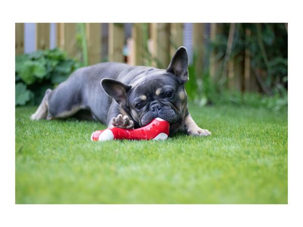 Rosewood Meaty Takeaway Dog Toys - Chicken Bone