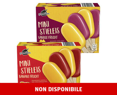 GRANDESSA
GELATI ALLA FRUTTA SU STECCO "MINI MIX"