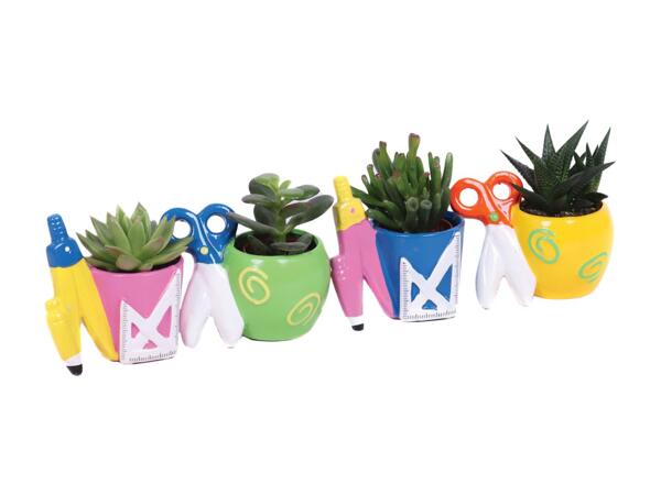 Thank you Teacher Plants