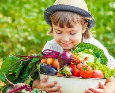 ZURÜCK ZUM URSPRUNG Österreichisches Bio-Kindersnackgemüse