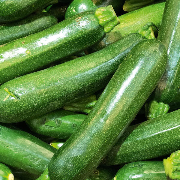 Bio-Zucchini