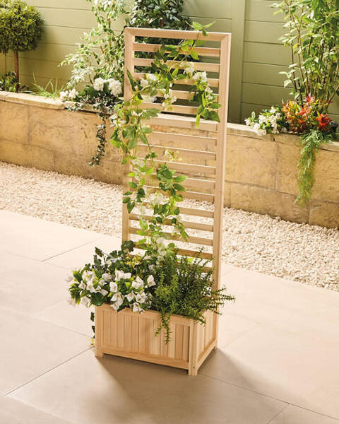 Wooden Planter with Trellis