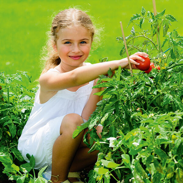 Kindergemüse "Hits für Kids"