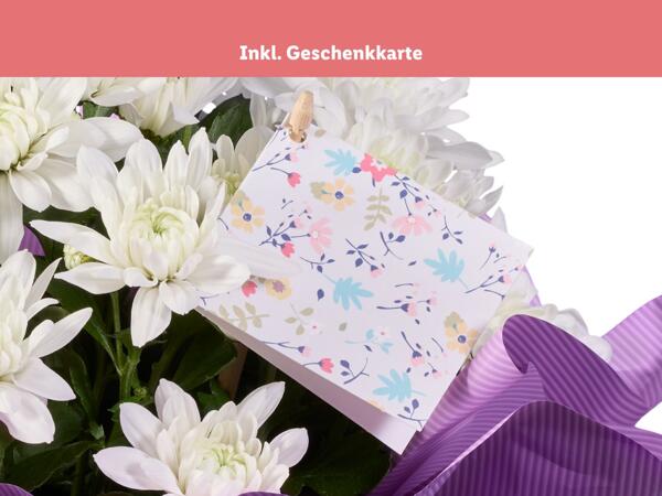 Chrysantheme „Elle Fleur" in Muttertagsverpackung