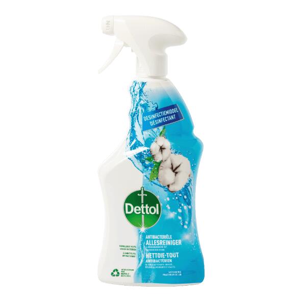 DETTOL(R) 				Allesreiniger