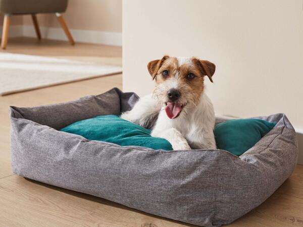 Pet Bed