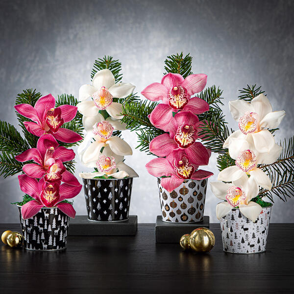 Orchideengesteck "Weihnachten"