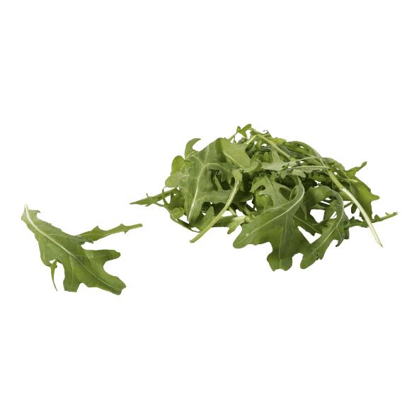 Roquette