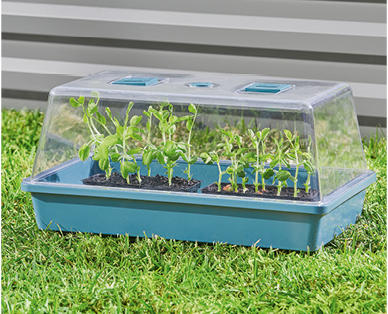 Seed and Cutting Greenhouse