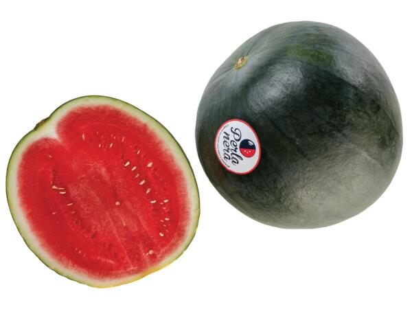 Perla Nera Watermelon