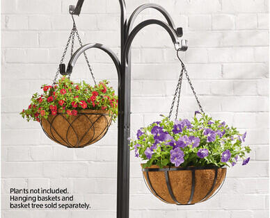 Hanging Basket with Liner