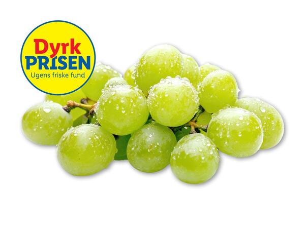 Grønne kernefri vindruer