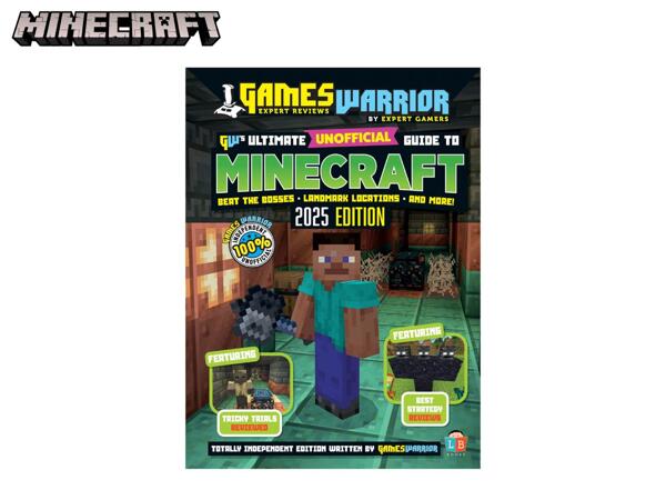 Minecraft Christmas Annuals