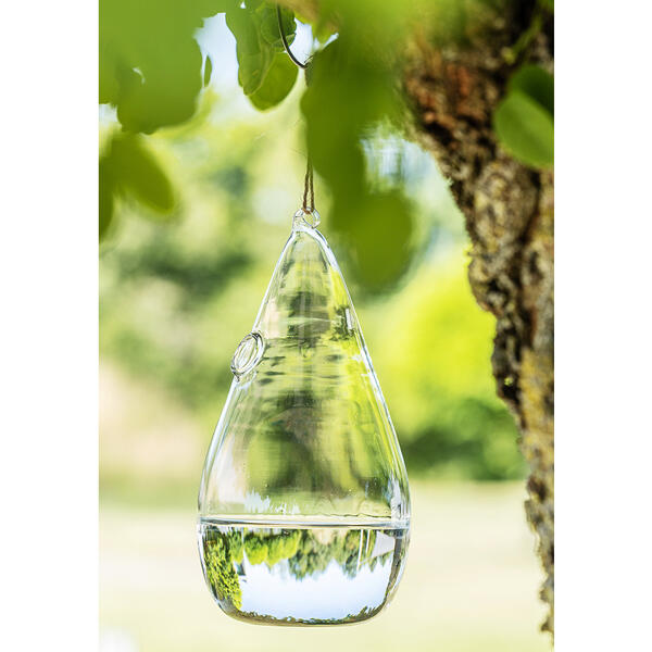 Fliegenfrei-Glas