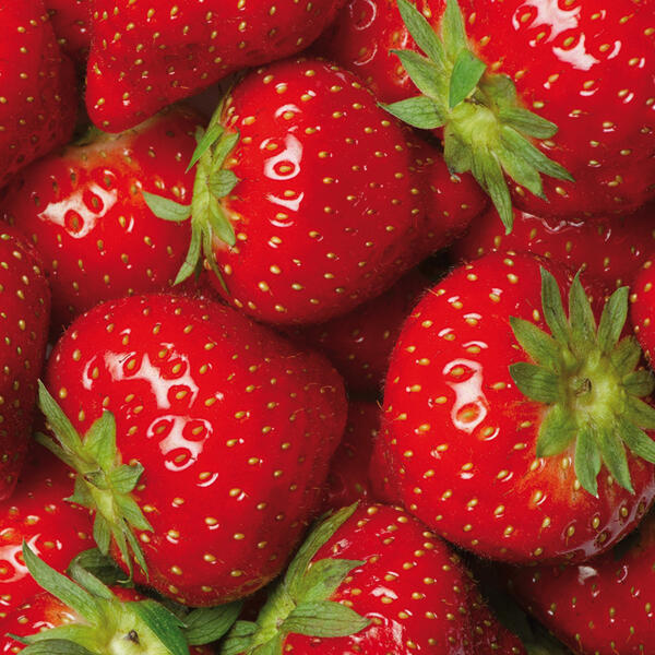 Erdbeeren