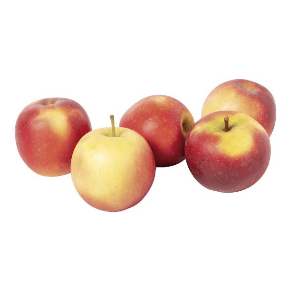 Pommes Rockit