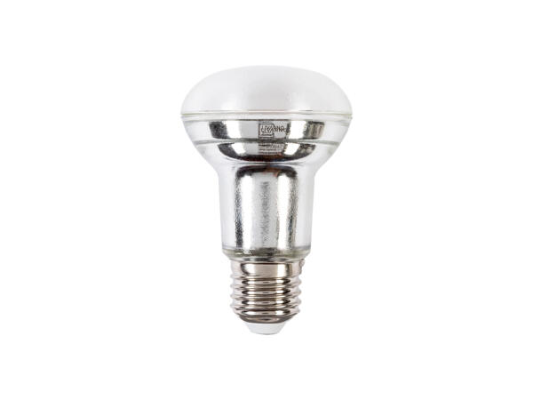 LED Light Bulb