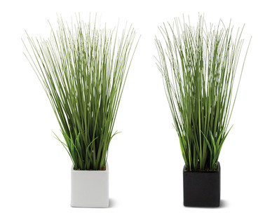Huntington Home Decorative Orchid or Grass