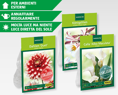Bulbi di fiori esclusivi GARDENLINE(R)