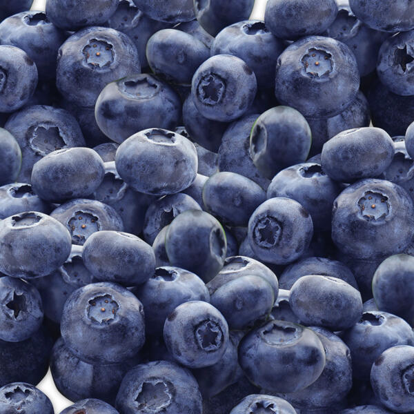 Premium Kulturheidelbeeren