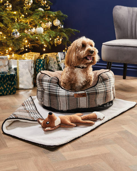 Brown Large Cuddle Bundle