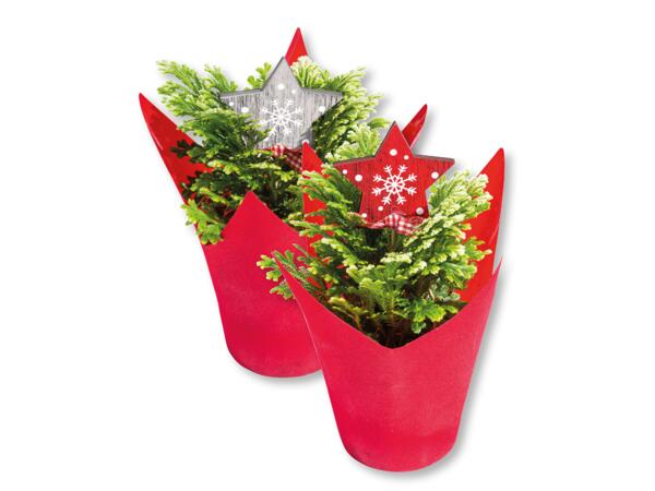 Mini Christmas Tree