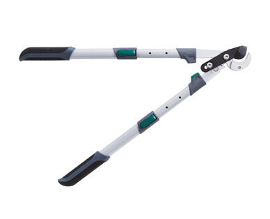 Telescopic Hedge Shears, Anvil Lopper or Bypass Lopper
