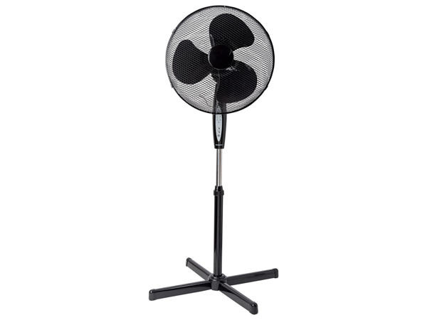 Fan
