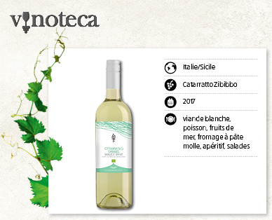 Catarratto Zibibbo Terre Siciliane IGT