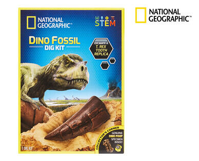 National Geographic Assorted Dig Kits