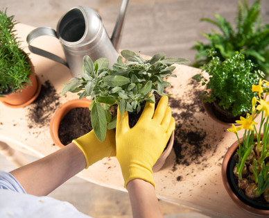 GARDENLINE Robuste Gartenhandschuhe