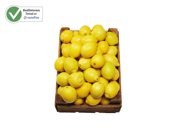 Ekologisk citron