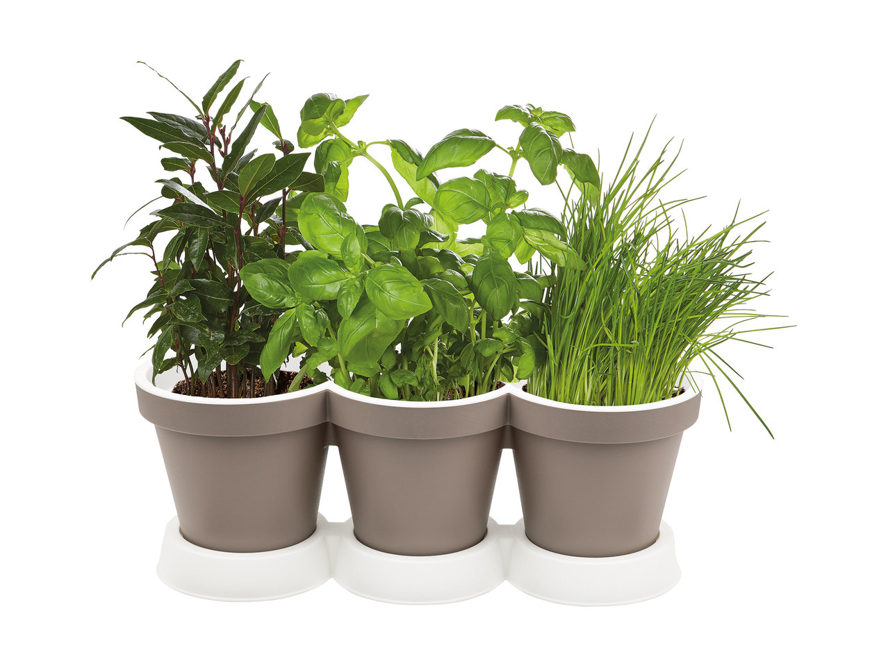 Florabest 3-in-1 Herb Pot1