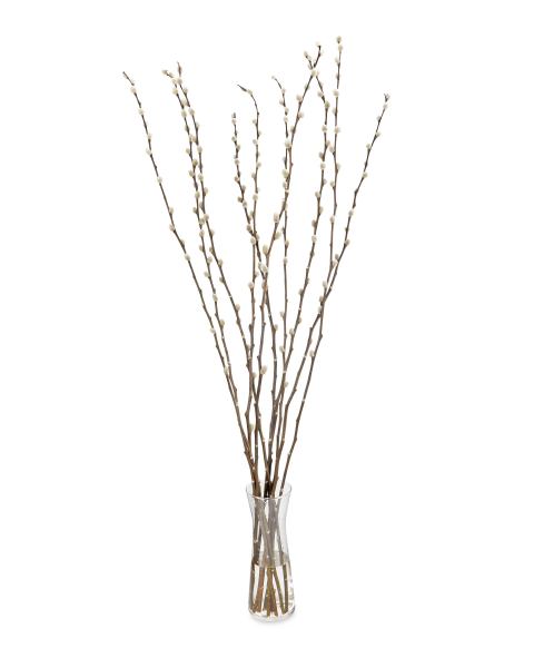 Beautiful Blooms Tall Pussy Willow